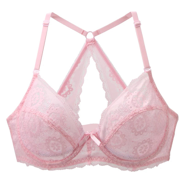 Underwire Embroidered Mesh Extended-Size Bra – Shop at OWNLUXE