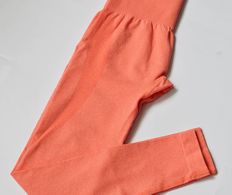 Contour Leggings – Seamless Tummy Control