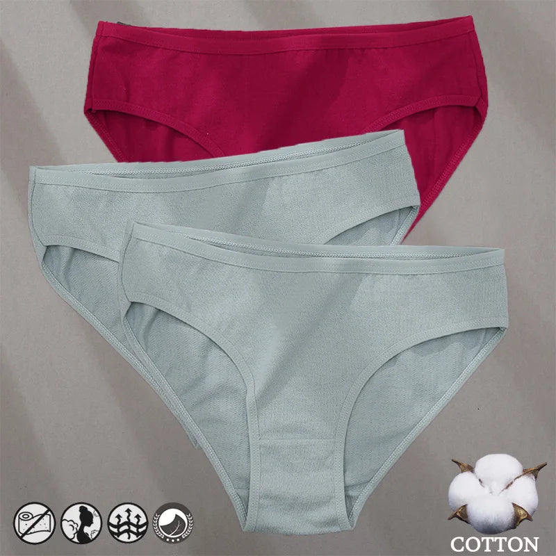 Women's Cotton Jacquard Low-Rise Briefs | 6 Colours | OWNLUXE