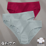 Women's Cotton Jacquard Low-Rise Briefs | 6 Colours | OWNLUXE
