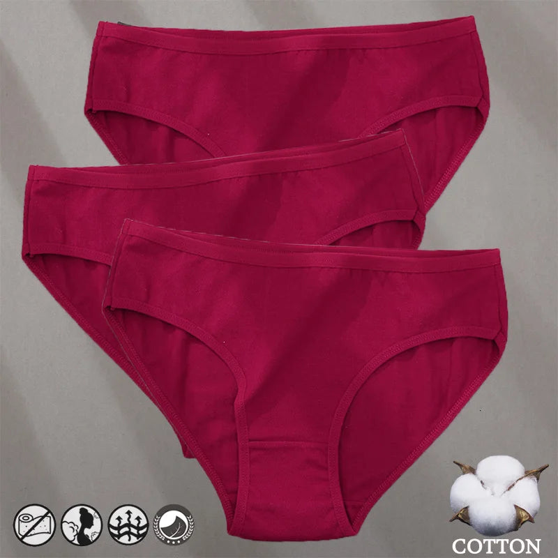Women's Cotton Jacquard Low-Rise Briefs | 6 Colours | OWNLUXE