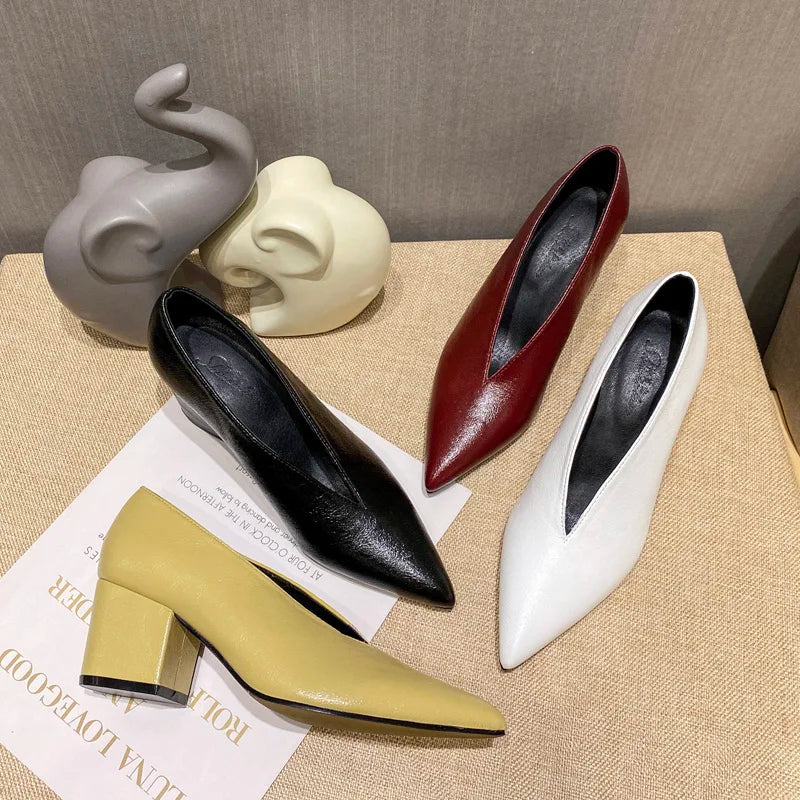 Women's Pointed Toe Pumps (Wine Chunky Heel) | OWNLUXE