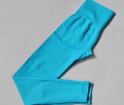 Contour Leggings – Seamless Tummy Control