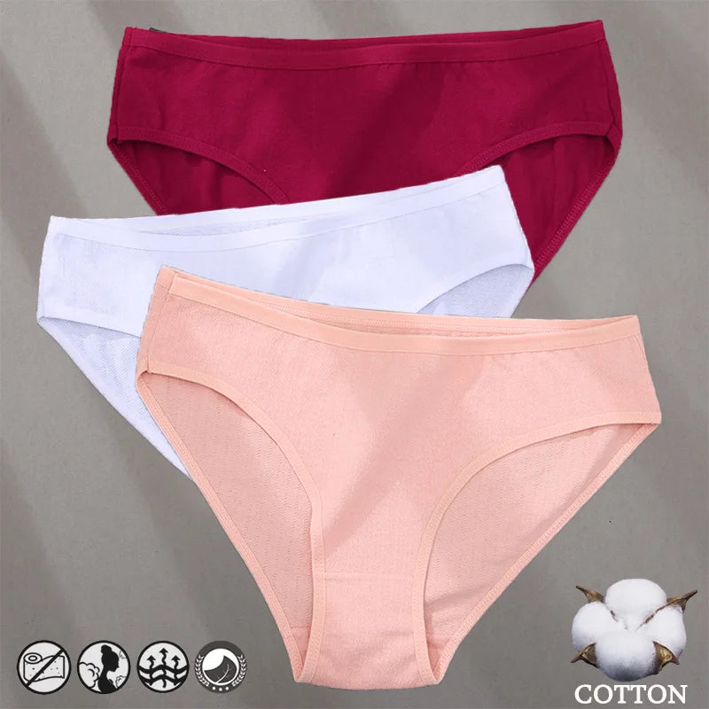 Women's Cotton Jacquard Low-Rise Briefs | 6 Colours | OWNLUXE