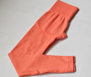 Contour Leggings – Seamless Tummy Control