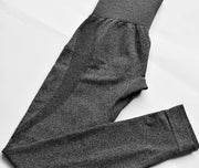 Contour Leggings – Seamless Tummy Control