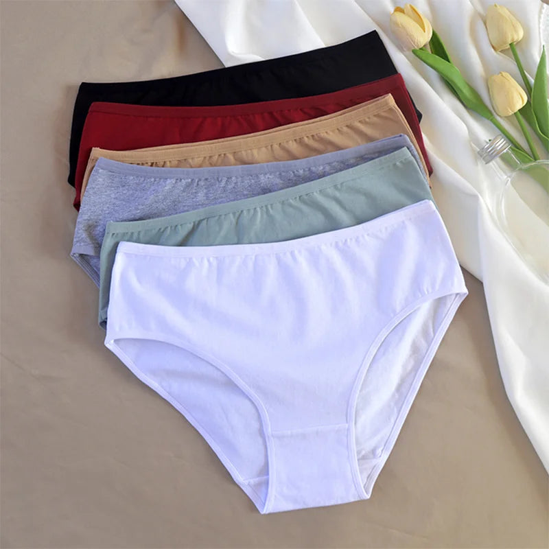 Women's Seamless Cotton Briefs 3-Pack | 6 Colors | OWNLUXE