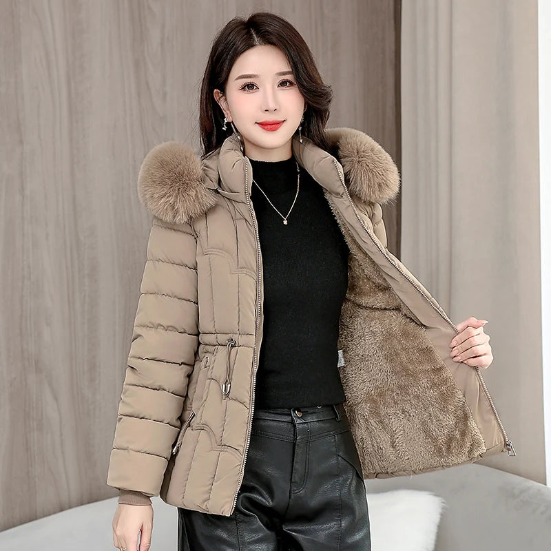 Women's Cotton Hooded Jacket (Light Green) | OWNLUXE