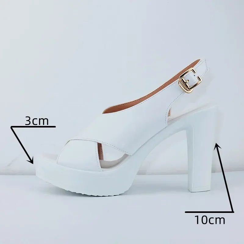 Women’s Gladiator Heeled Sandals – Cross-Tied Spike Heel