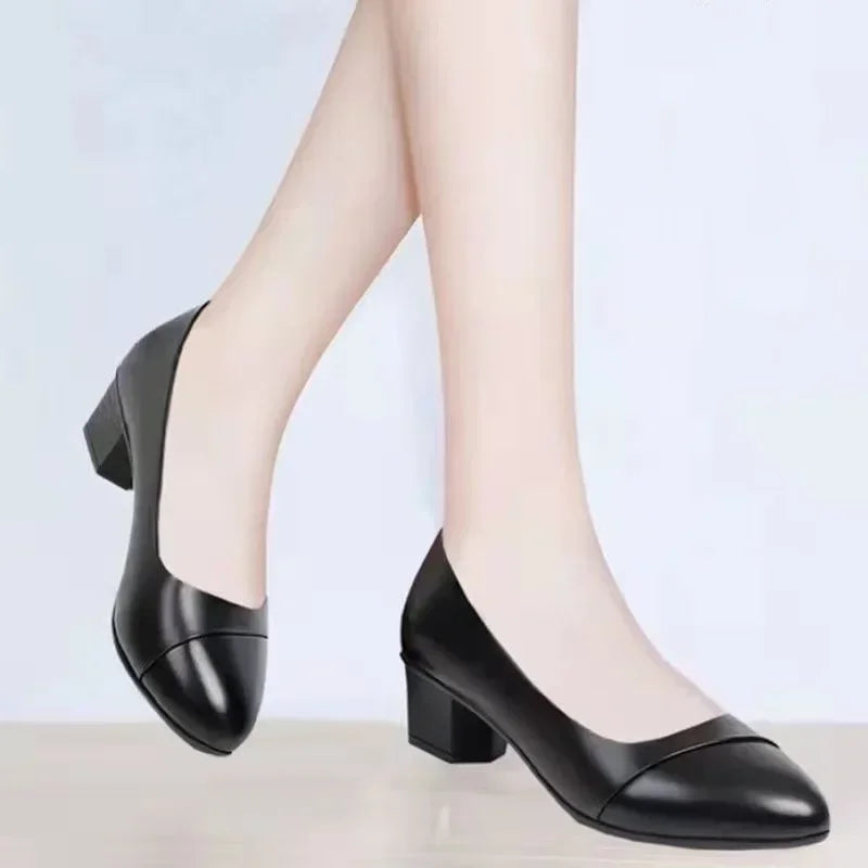 Square Heel Loafer Pumps with Pointed Toe, Slip-On