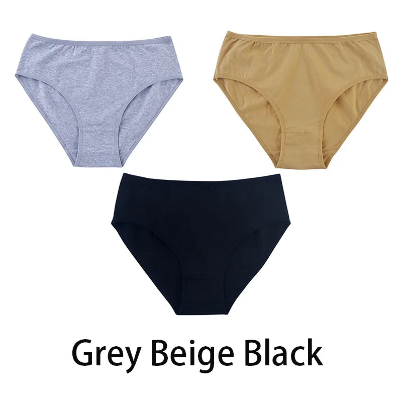 Women's Seamless Cotton Briefs 3-Pack | 6 Colors | OWNLUXE