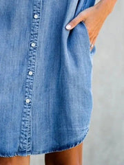 Knee Length A-Line Office Dress with Turn-Down Collar