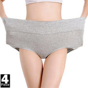 Women's High-Waist Tummy Control Briefs 4-Pack | Plus Size L–5XL | OWNLUXE