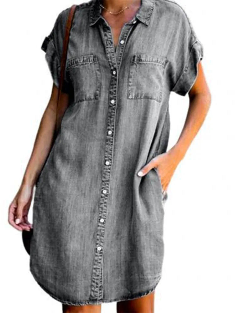 Knee Length A-Line Office Dress with Turn-Down Collar