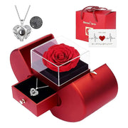 Best Selling Accessory | OWNLUXE