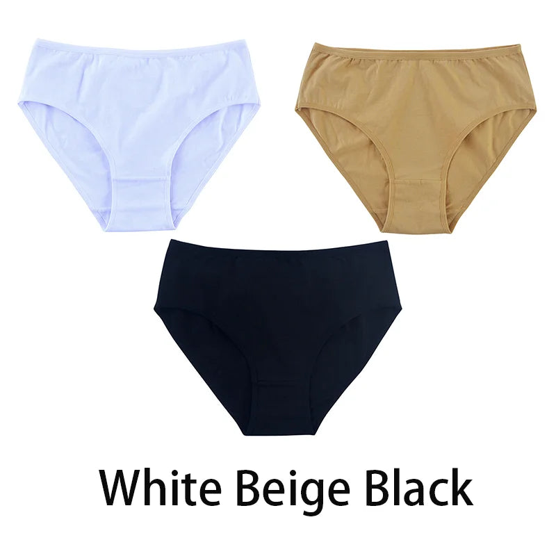 Women's Seamless Cotton Briefs 3-Pack | 6 Colors | OWNLUXE