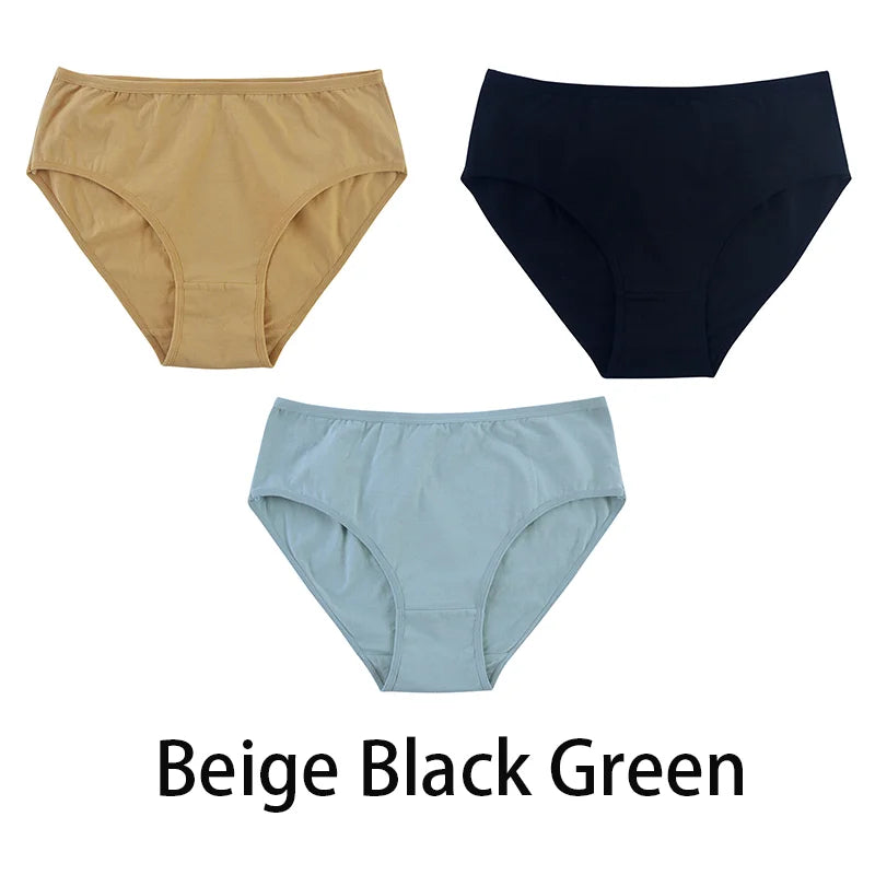 Women's Seamless Cotton Briefs 3-Pack | 6 Colors | OWNLUXE