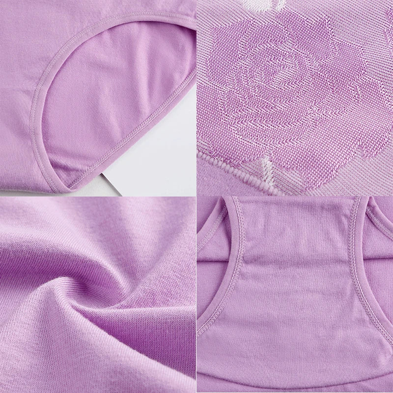 Women's High-Waist Cotton Briefs 3-Pack | OWNLUXE