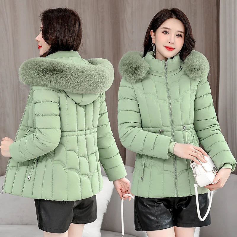 Women's Cotton Hooded Jacket (Light Green) | OWNLUXE