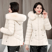 Women's Cotton Hooded Jacket (Light Green) | OWNLUXE