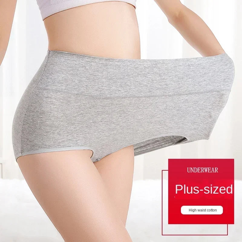 Women's High-Waist Tummy Control Briefs 4-Pack | Plus Size L–5XL | OWNLUXE