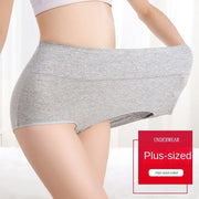 Women's High-Waist Tummy Control Briefs 4-Pack | Plus Size L–5XL | OWNLUXE