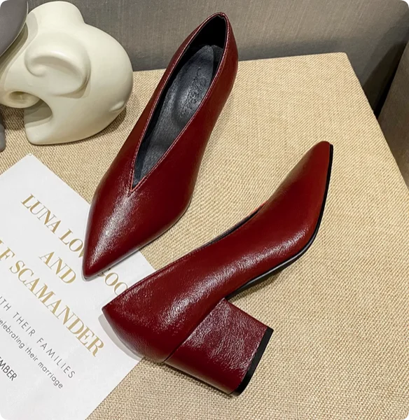 Women's Pointed Toe Pumps (Wine Chunky Heel) – Shop at OWNLUXE