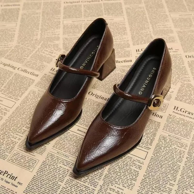 Chunky-Heel Pointed-Toe Mary Jane Pumps – Shop at OWNLUXE