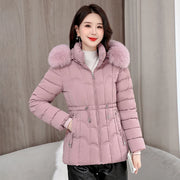 Women's Cotton Hooded Jacket (Light Green) | OWNLUXE