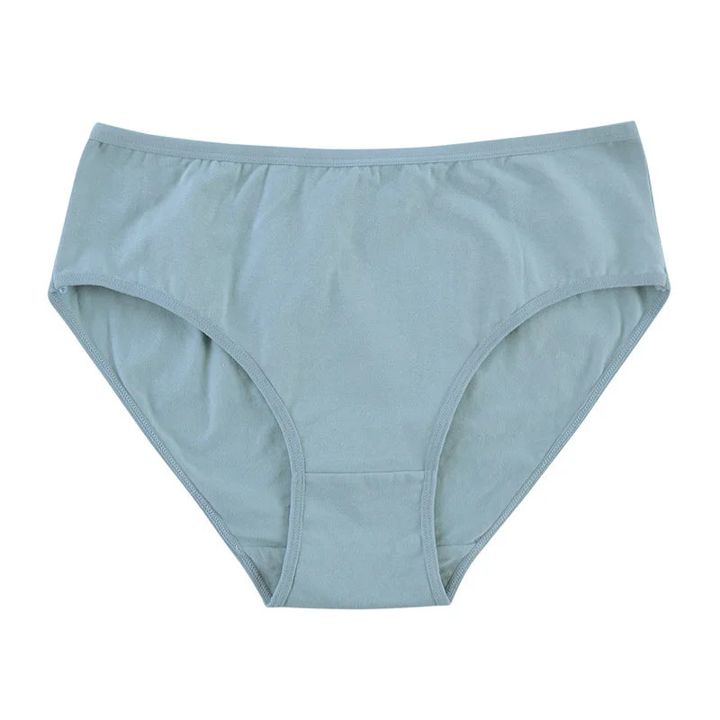 Women's Seamless Cotton Briefs 3-Pack | 6 Colors | OWNLUXE