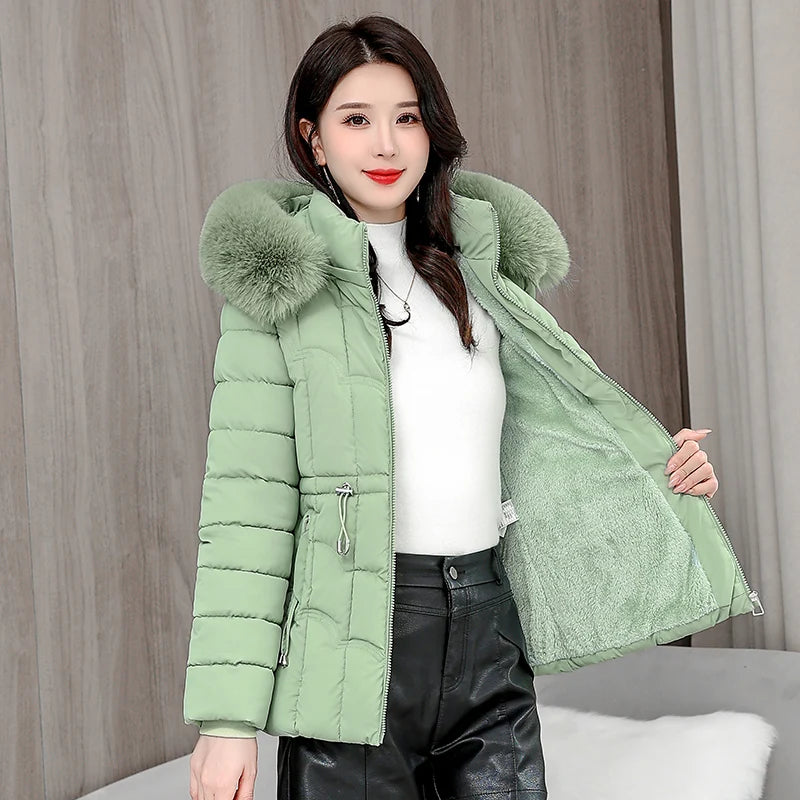 Women's Cotton Hooded Jacket (Light Green) | OWNLUXE