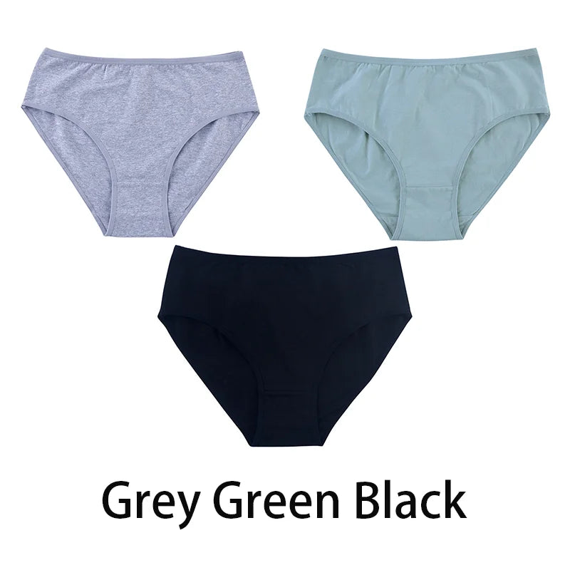 Women's Seamless Cotton Briefs 3-Pack | 6 Colors | OWNLUXE