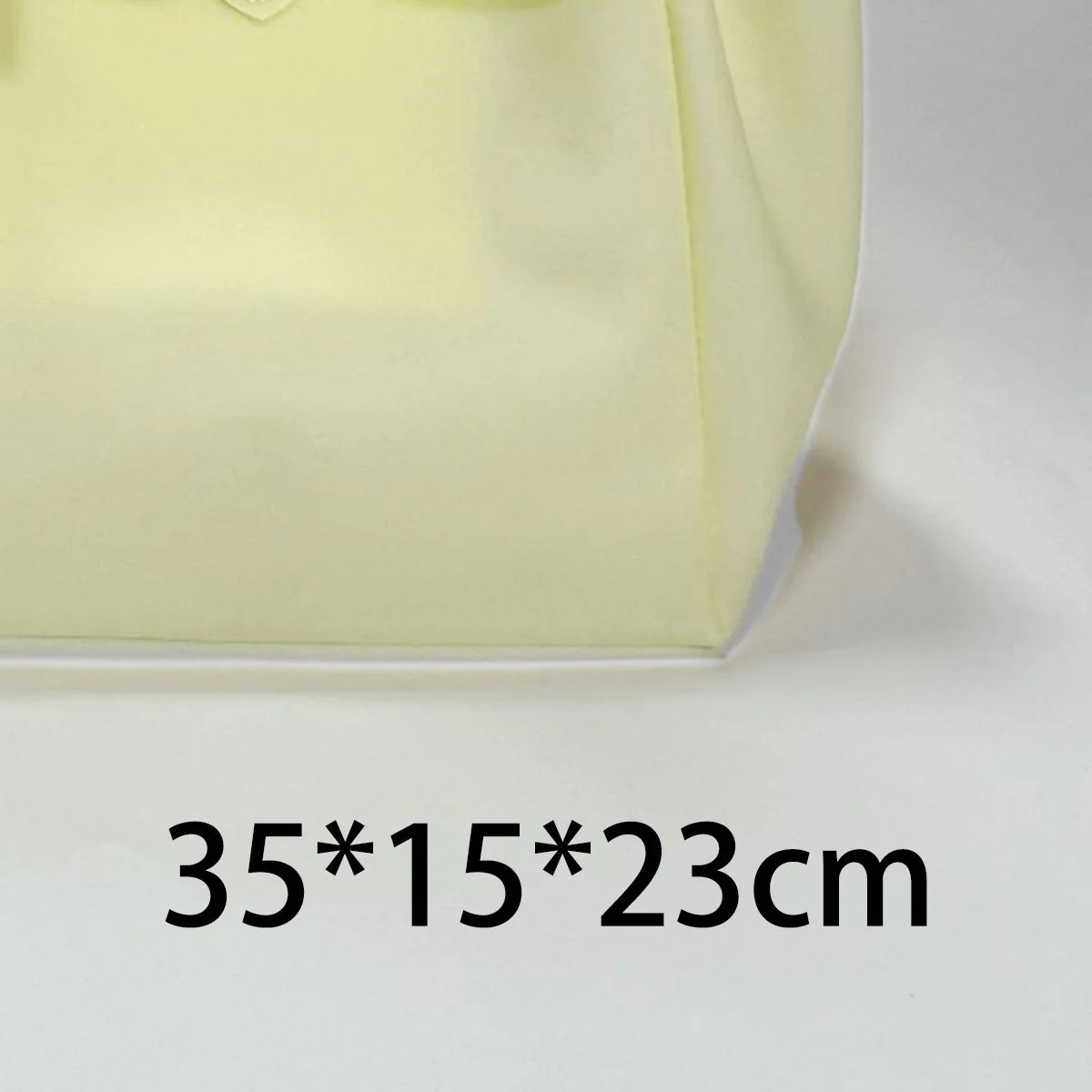 Spacious PVC Transparent Handbag | OWNLUXE