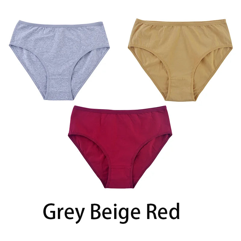 Women's Seamless Cotton Briefs 3-Pack | 6 Colors | OWNLUXE