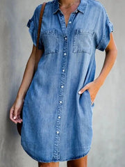 Knee Length A-Line Office Dress with Turn-Down Collar