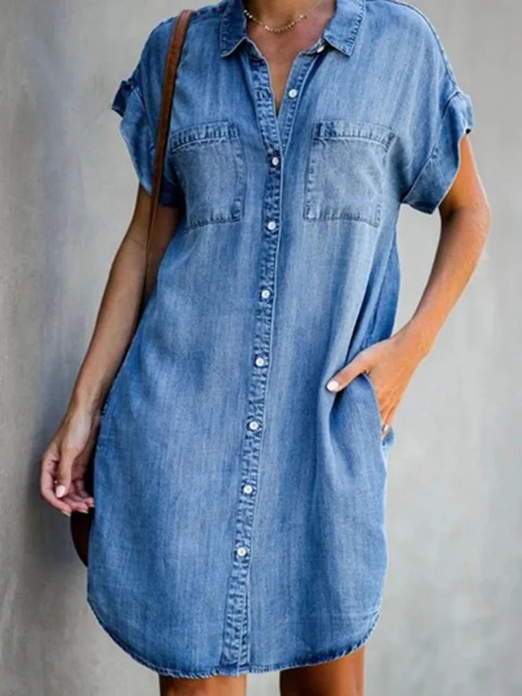Knee Length A-Line Office Dress with Turn-Down Collar