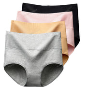 Women's High-Waist Tummy Control Briefs 4-Pack | Plus Size L–5XL | OWNLUXE