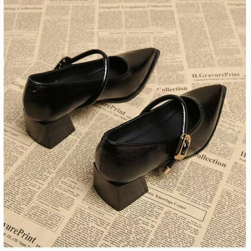 Chunky-Heel Pointed-Toe Mary Jane Pumps – Shop at OWNLUXE