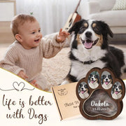 Personalized Pet Accessory | OWNLUXE