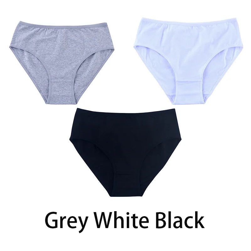 Women's Seamless Cotton Briefs 3-Pack | 6 Colors | OWNLUXE