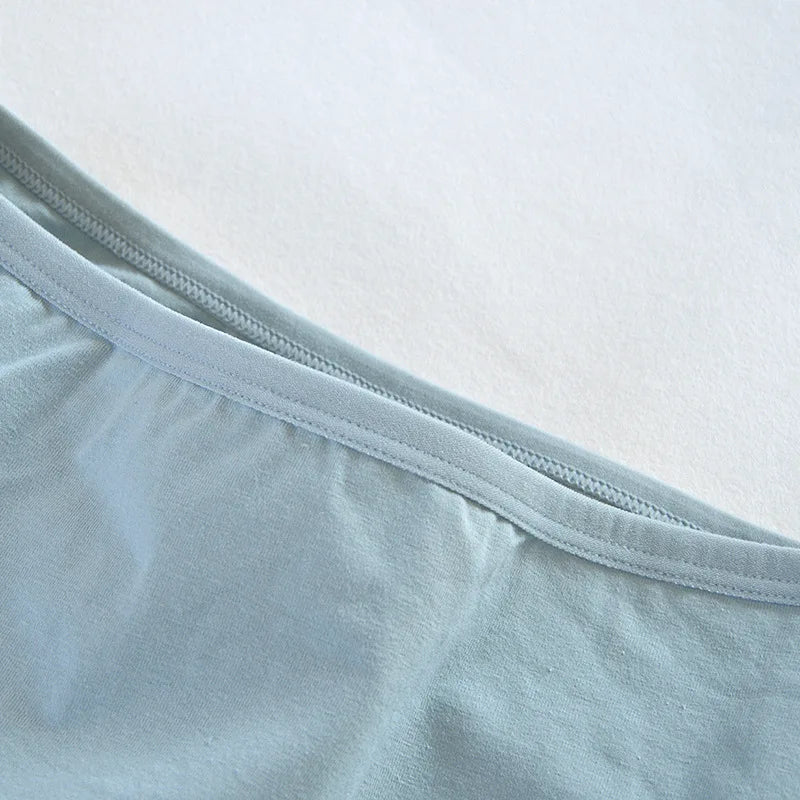 Women's Seamless Cotton Briefs 3-Pack | 6 Colors | OWNLUXE
