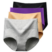 Women's High-Waist Tummy Control Briefs 4-Pack | Plus Size L–5XL | OWNLUXE