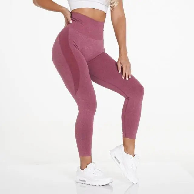 Contour Leggings – Seamless Tummy Control