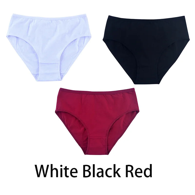 Women's Seamless Cotton Briefs 3-Pack | 6 Colors | OWNLUXE