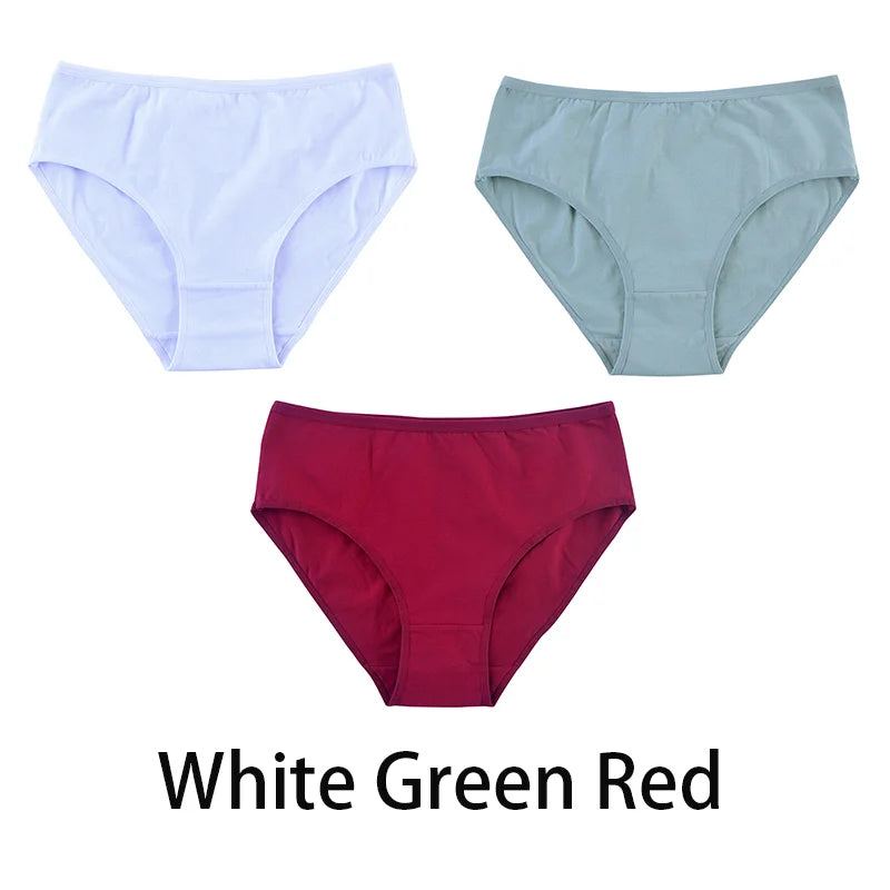 Women's Seamless Cotton Briefs 3-Pack | 6 Colors | OWNLUXE