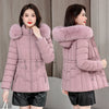 Women's Cotton Hooded Jacket (Light Green) | OWNLUXE
