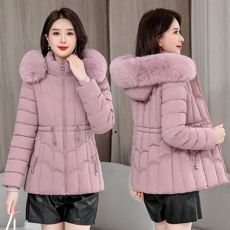 Women's Cotton Hooded Jacket (Light Green) | OWNLUXE