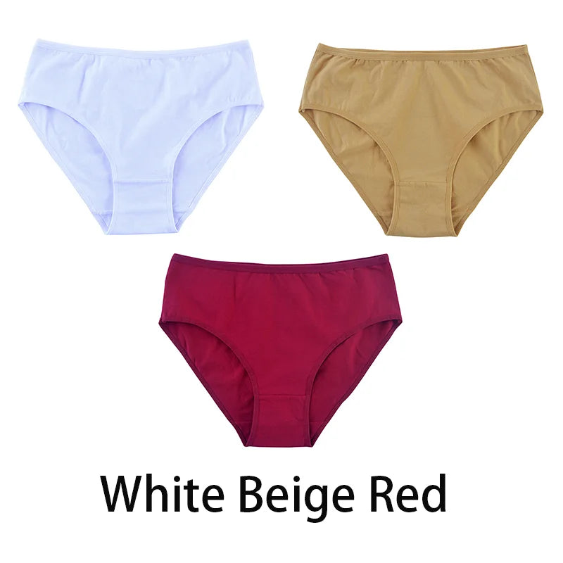 Women's Seamless Cotton Briefs 3-Pack | 6 Colors | OWNLUXE