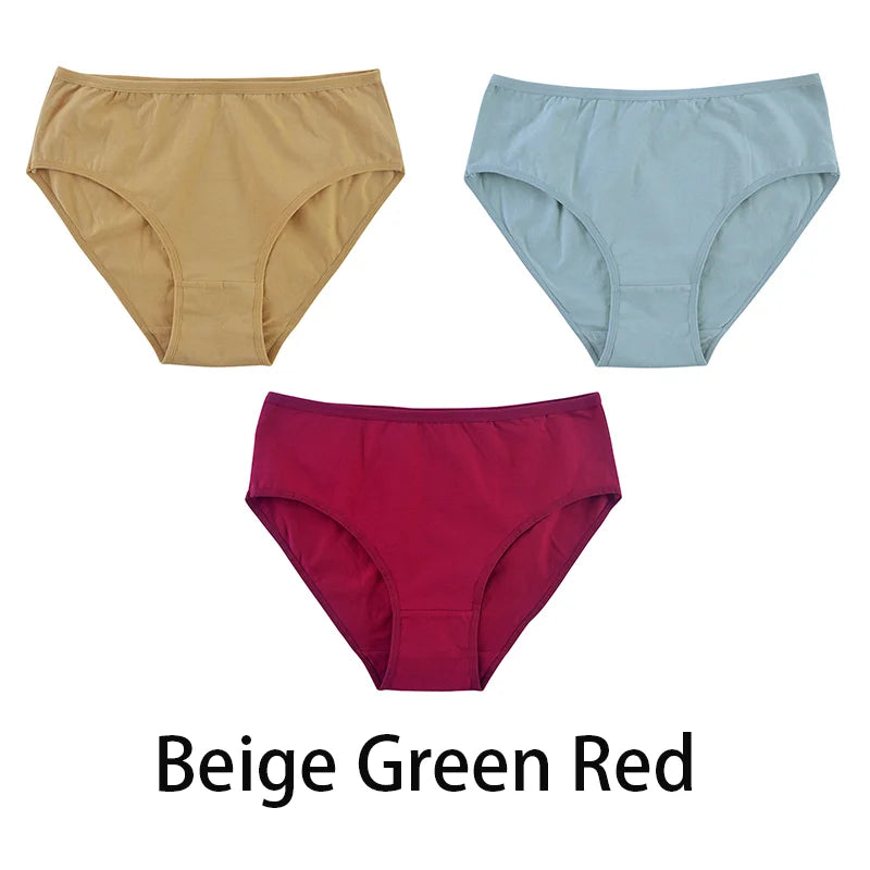 Women's Seamless Cotton Briefs 3-Pack | 6 Colors | OWNLUXE