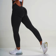Contour Leggings – Seamless Tummy Control